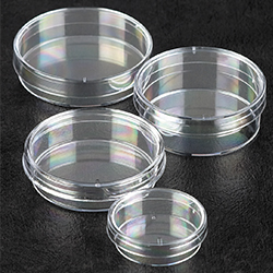 PETRI DISHES