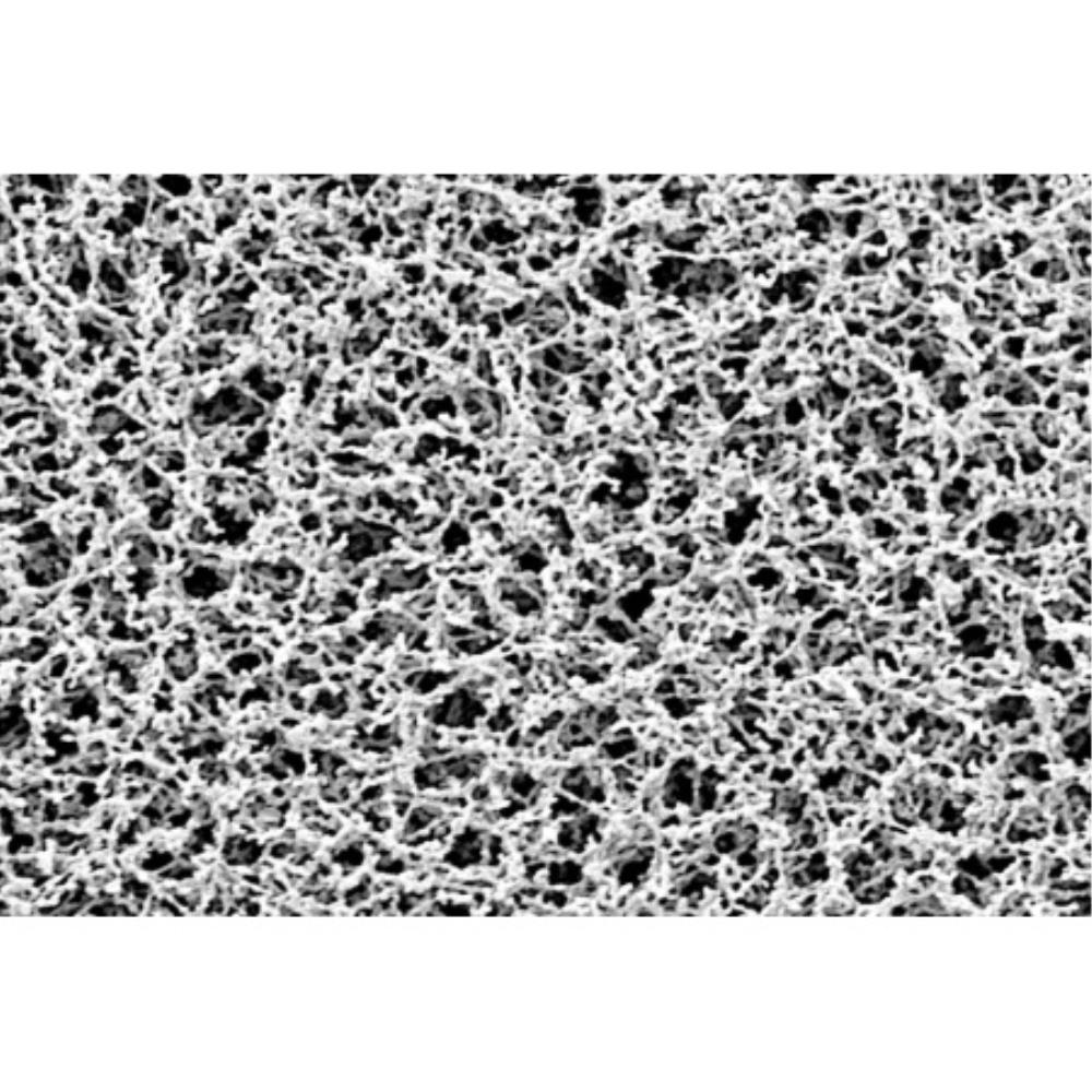 FIL1300 Display Image