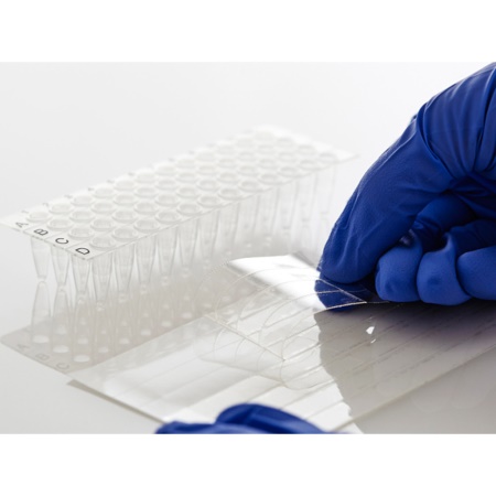 PCR0526 Display Image
