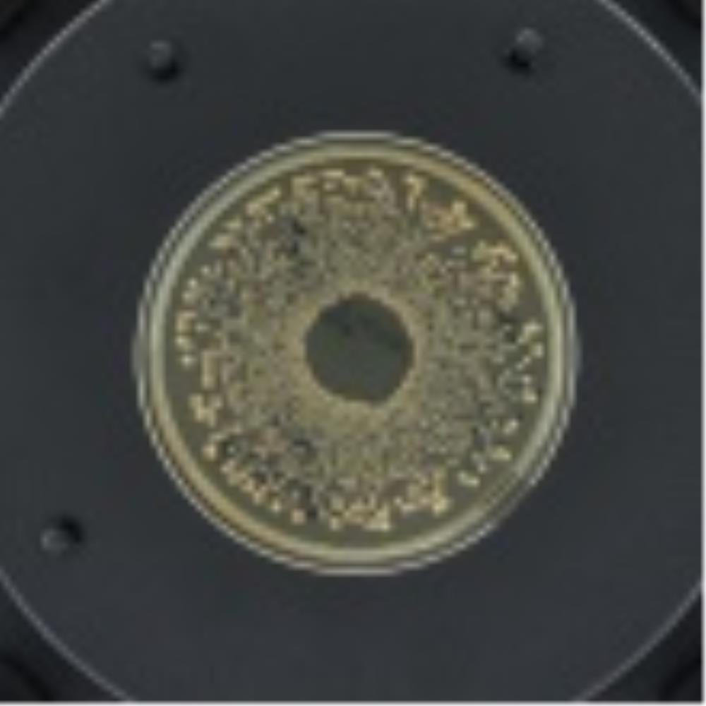COU5011 Image