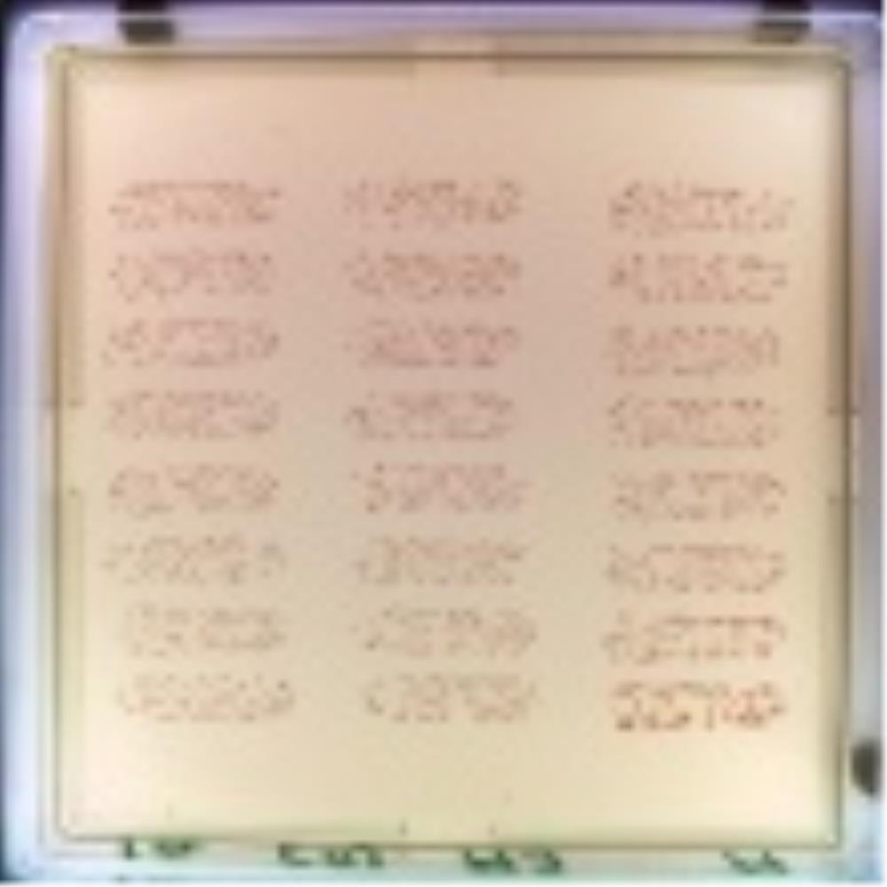 COU5011 Image