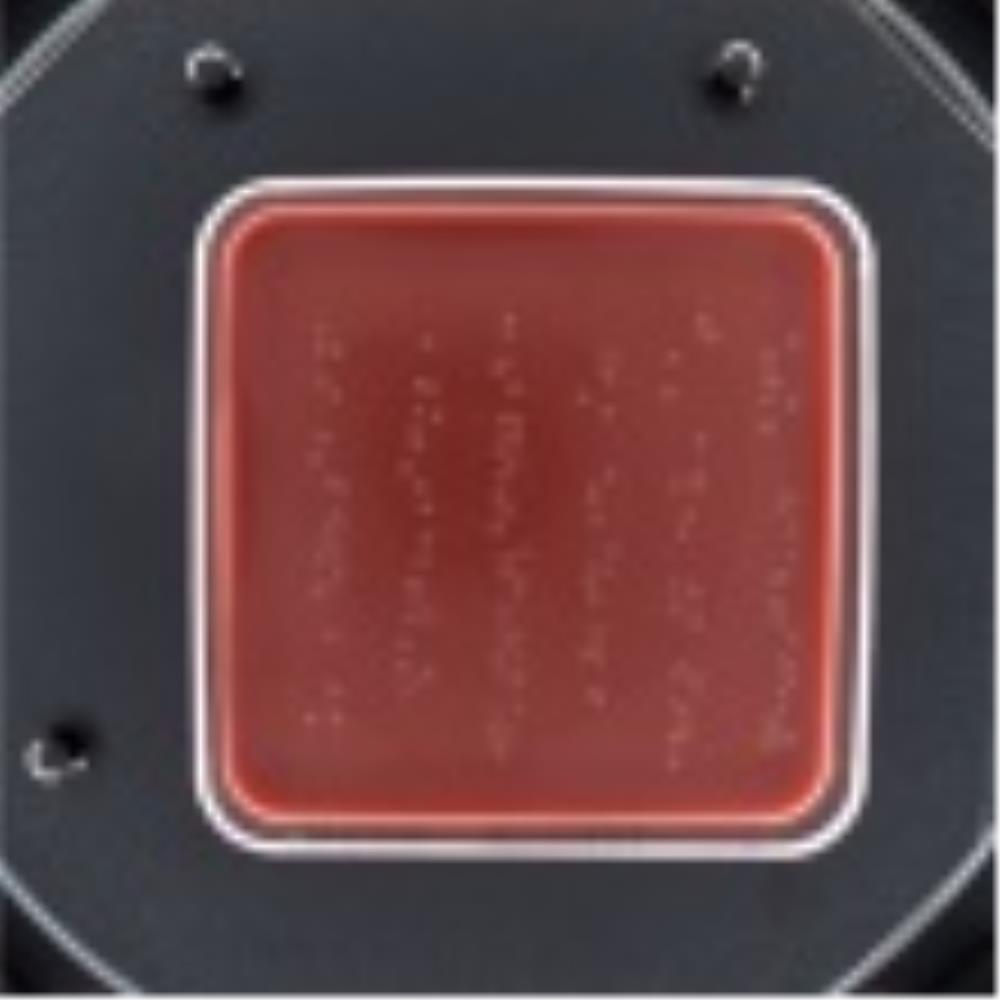 COU5011 Image