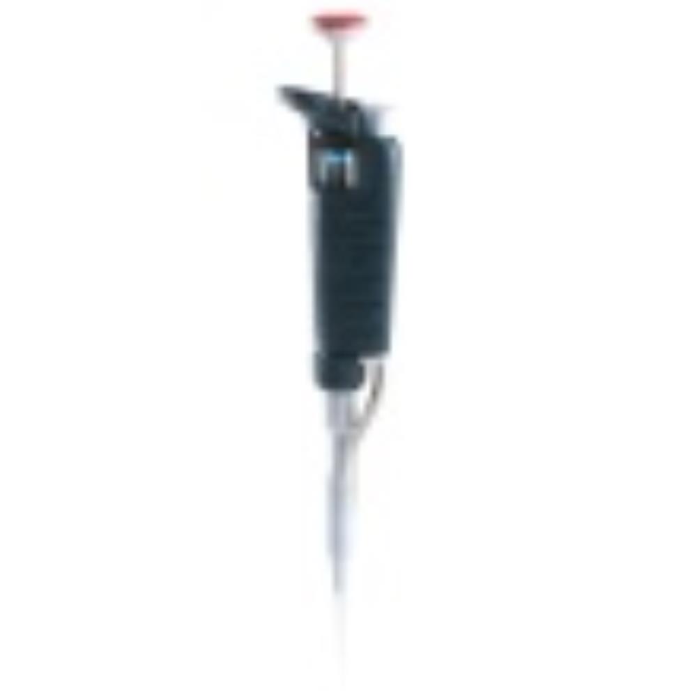 F123600 Image