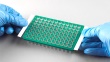 PCR0564 Thumbnail Image